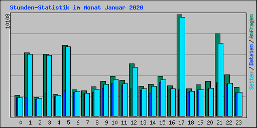 Stunden-Statistik im Monat Januar 2020
