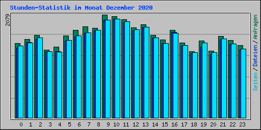 Stunden-Statistik im Monat Dezember 2020