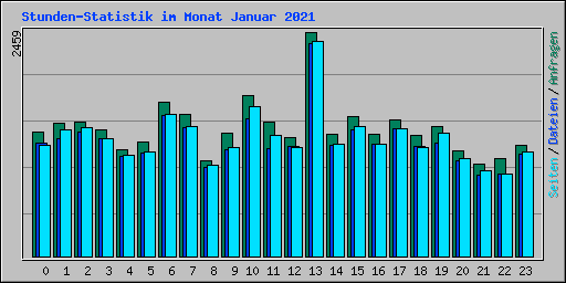 Stunden-Statistik im Monat Januar 2021