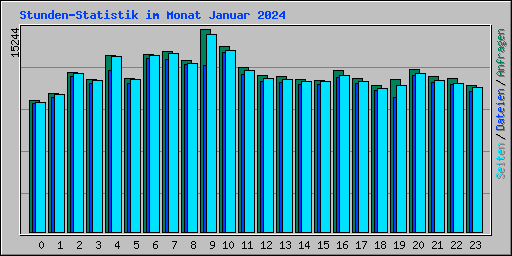 Stunden-Statistik im Monat Januar 2024