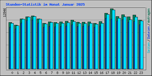 Stunden-Statistik im Monat Januar 2025